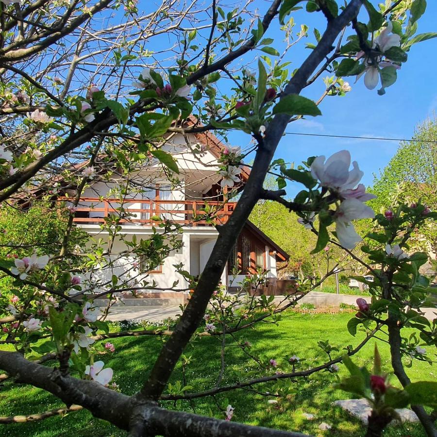 House Samardzic Hotel Jezerce Luaran gambar