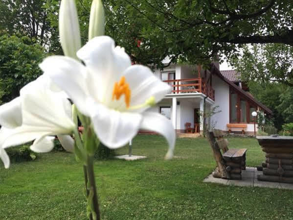 House Samardzic Hotel Jezerce Luaran gambar